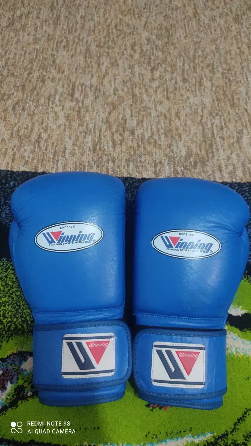 دستکش بوکس وینینگ درجه یک|تجهیزات ورزشی|ابهر, |دیوار