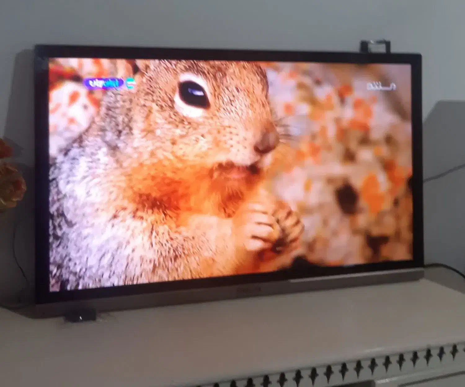 ال ای دی ۴۳اینچ اسنوا|تلویزیون و پروژکتور|کوهدشت, |دیوار