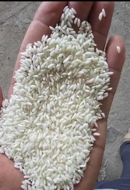 برنج نیمدانه پاکستانی|خوردنی و آشامیدنی|شادگان, |دیوار