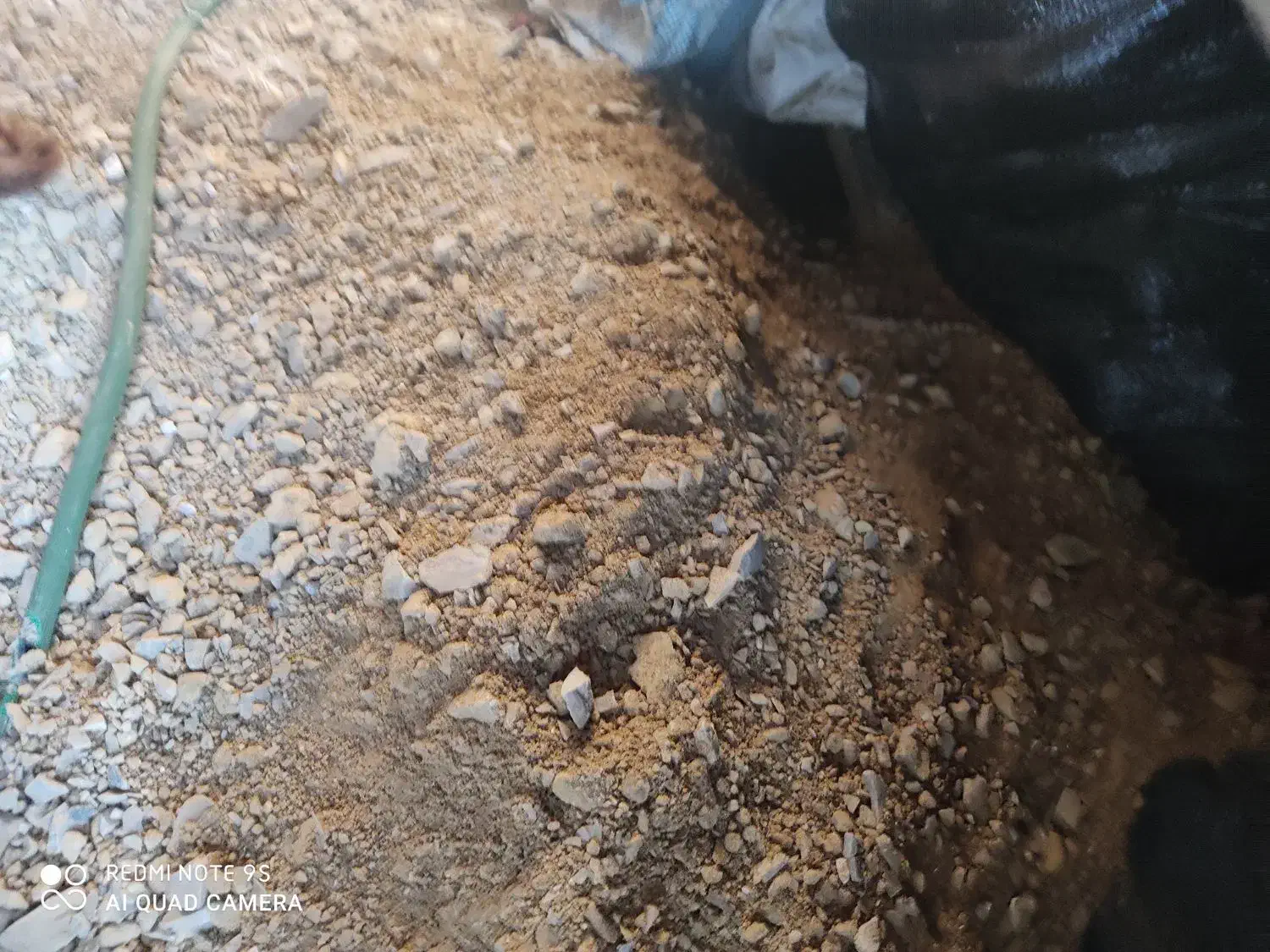 یه جفت خرگوش خوشگل|موش و خرگوش|اردبیل, |دیوار