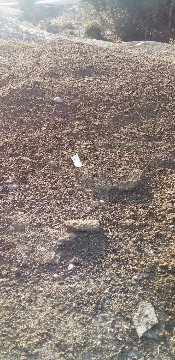 کوت گوسفندی|گل و گیاه طبیعی|فیروزآباد (لرستان), |دیوار