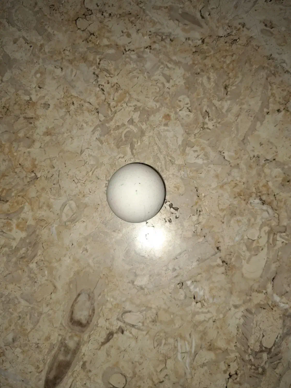 سنگ آسیاب|جواهرات|مشهد, رسالت|دیوار