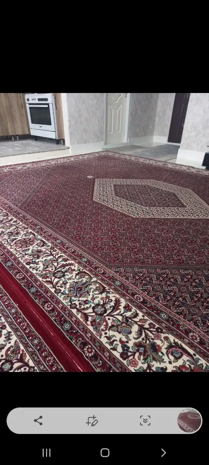 فرش|فرش|زنجان, |دیوار