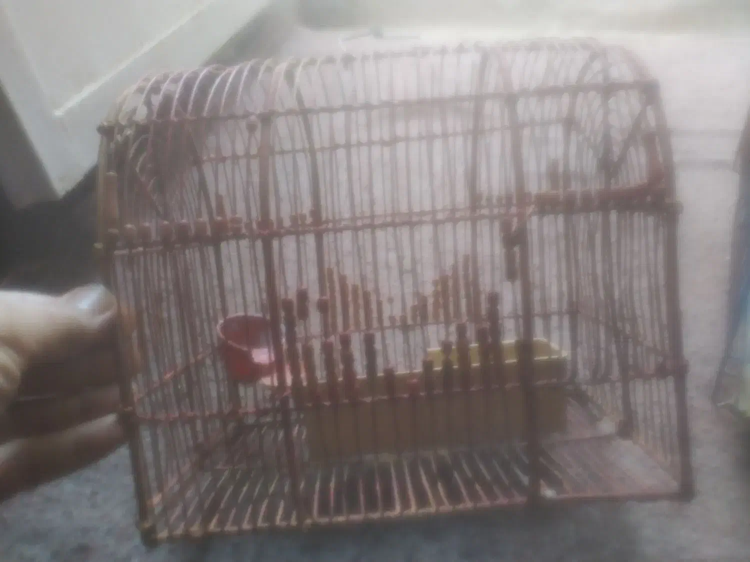 قفس|لوازم جانبی حیوانات|شهر بابک, |دیوار