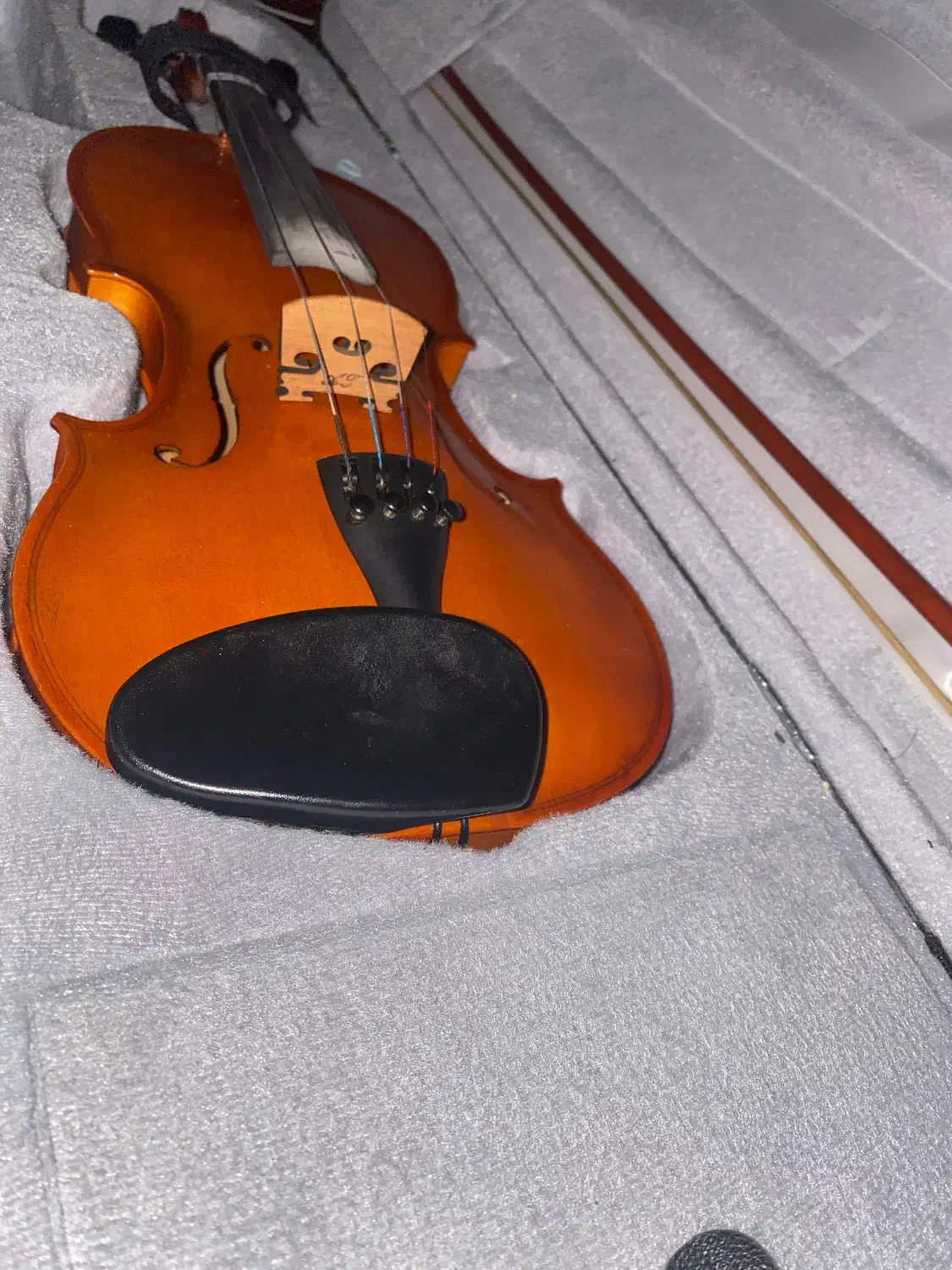 ویولن|ویولن|آستارا, |دیوار