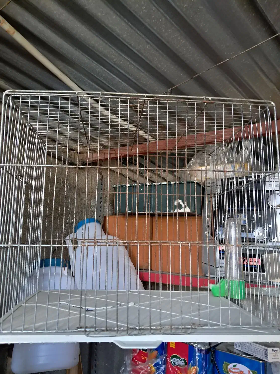 قفس|لوازم جانبی حیوانات|ابهر, |دیوار