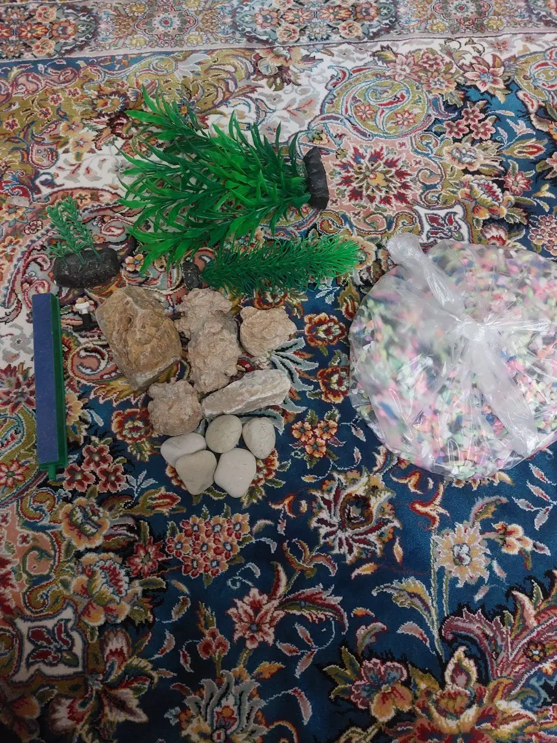 وسایل آکواریوم|ماهی|الوند, |دیوار