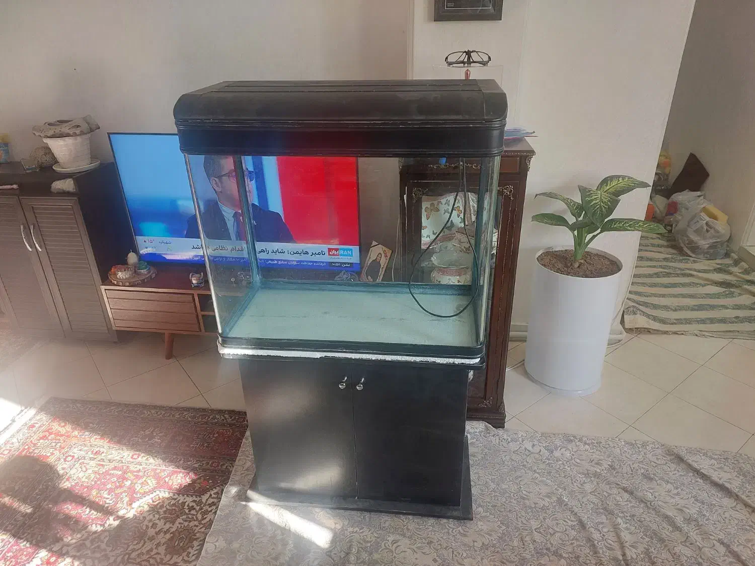 فروش اکواریوم با و سایل|ماهی|ری, ولی آباد|دیوار