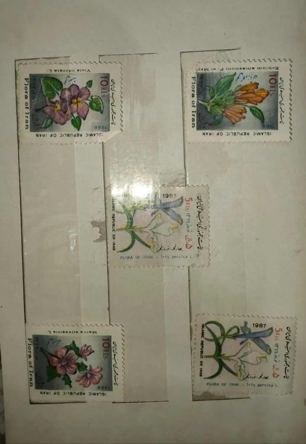 تمبر قدیمی زمان پهلوی|کلکسیون اشیاء عتیقه|پاکدشت, پاکدشت (مامازند)|دیوار