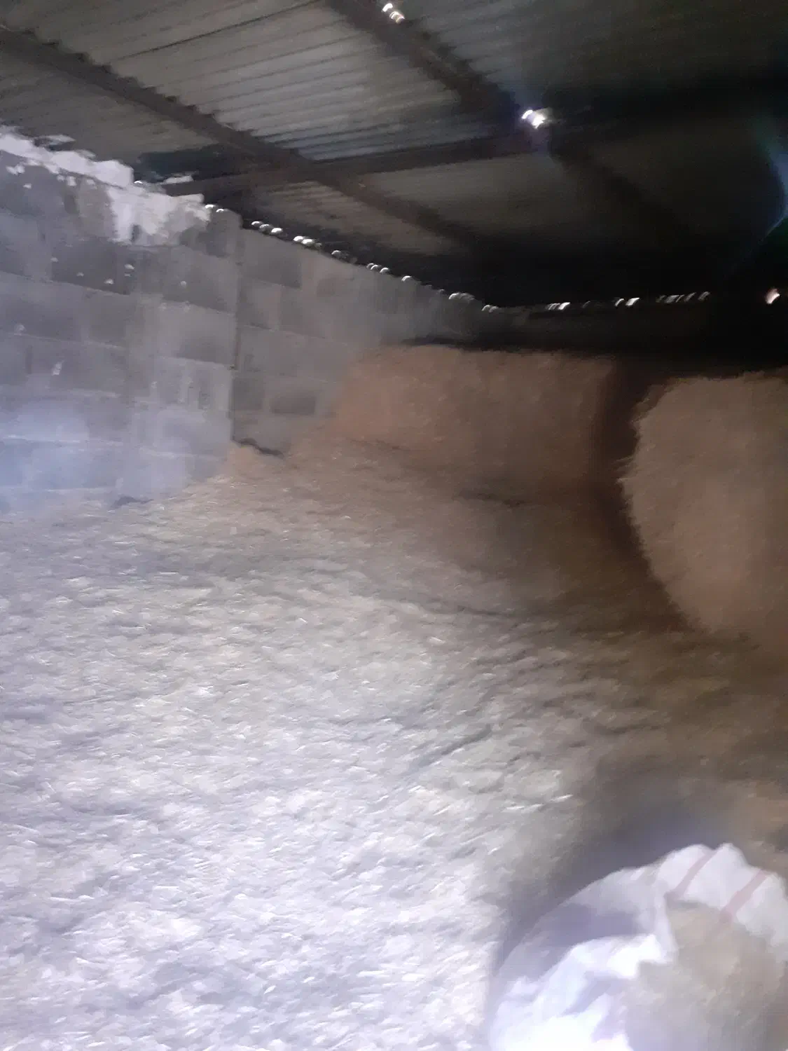 کاه فروش|حیوانات مزرعه|دشت ذهاب, |دیوار