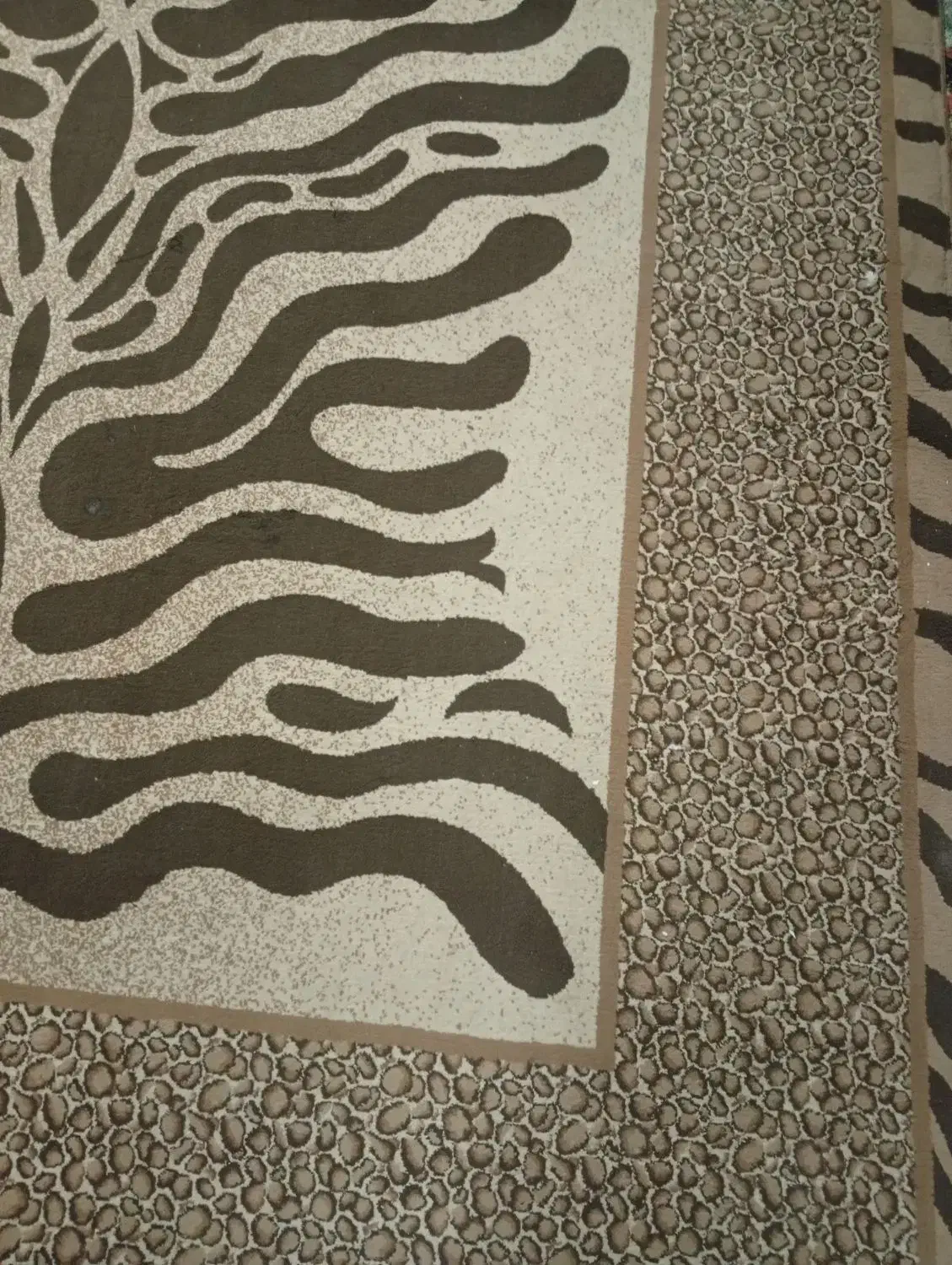 گلیم فرش|گلیم، جاجیم، گبه|بندر امام خمینی, |دیوار