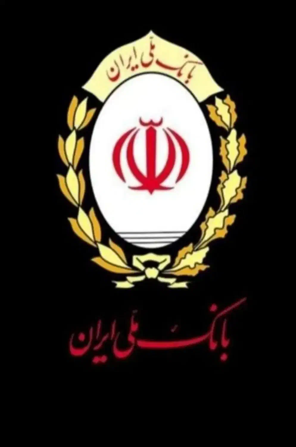 مهربانی ۳۰۰میبرم|خدمات مالی، حسابداری، بیمه|دالاهو, |دیوار