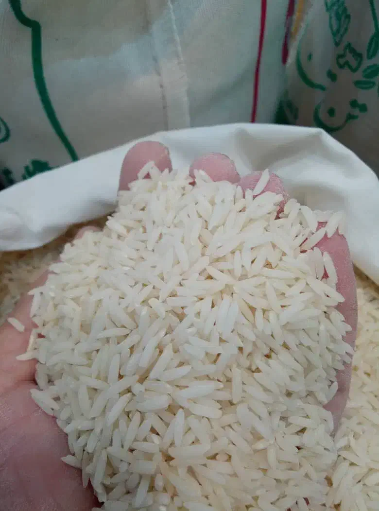 برنج هاشمی گیلان|خوردنی و آشامیدنی|الوند, |دیوار