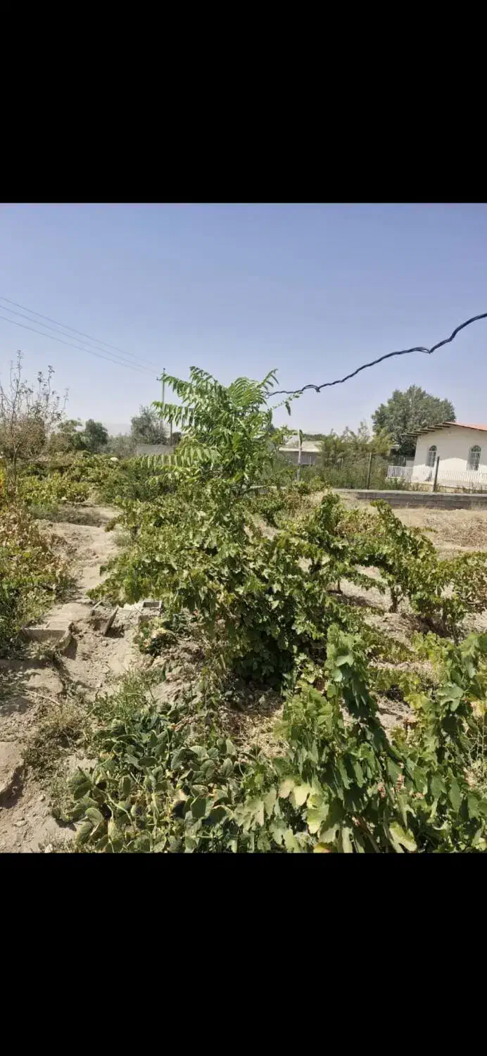 باغ دلیجان زیر اداره برق|فروش خانه و ویلا|دلیجان, |دیوار