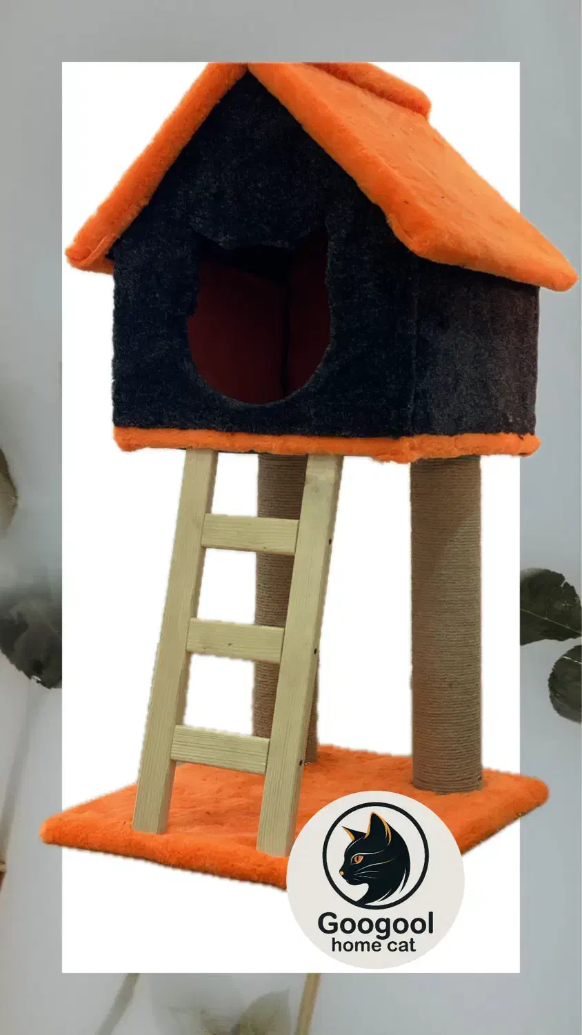 خانه و اکرچر گربه|لوازم جانبی حیوانات|رشت, گلسار|دیوار