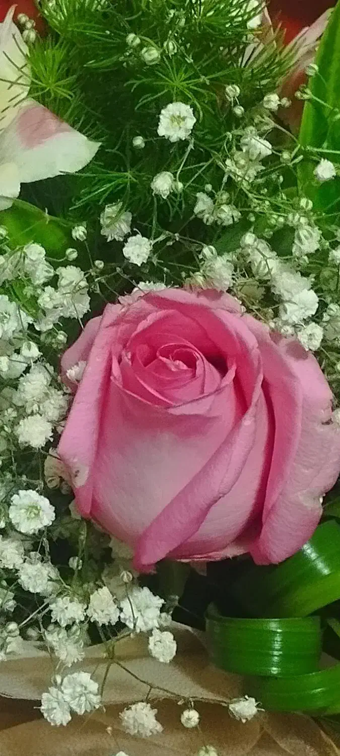 معلم خصوصی خانم هستم کلاس اول ودوم وسوم دبستان|خدمات آموزشی|زاهدان, |دیوار