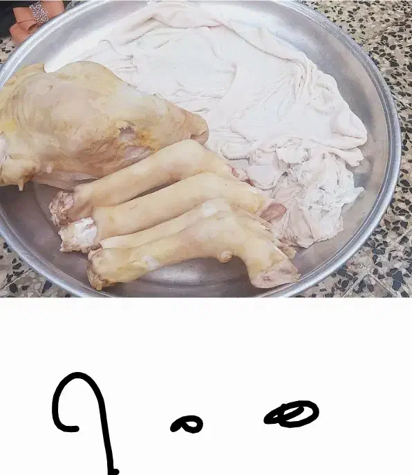 کله پاچه بره و میش|خوردنی و آشامیدنی|مسجد سلیمان, |دیوار