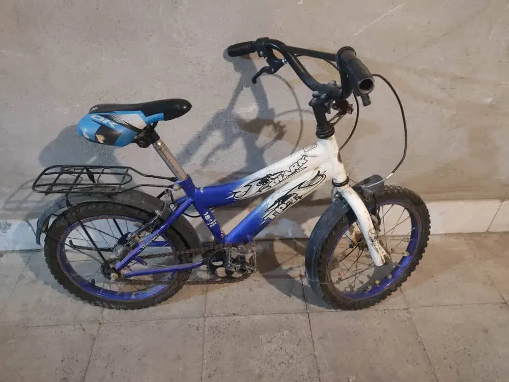 دوچرخه سایز ۱۶|دوچرخه، اسکیت، اسکوتر|تهران, افسریه جنوبی|دیوار