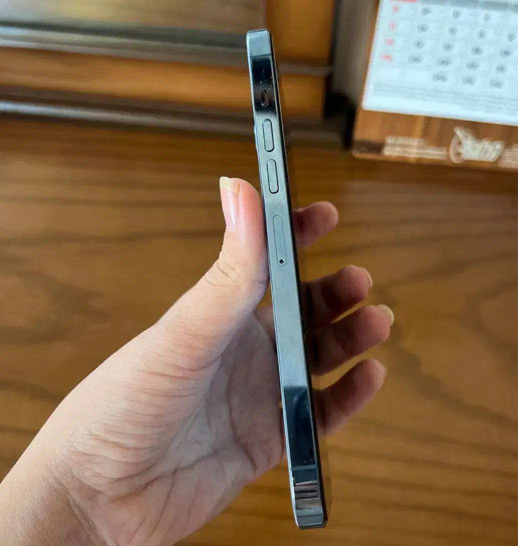 ایفون ۱۳ پرومکس آبی|موبایل|مشهد, طلاب|دیوار