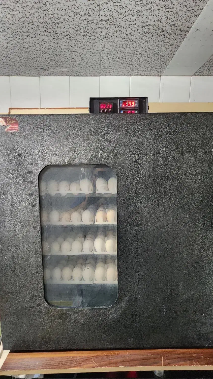 دستگاه ۴۲۰ تایی سیمرغ سالم|عمدهفروشی|گتاب, |دیوار