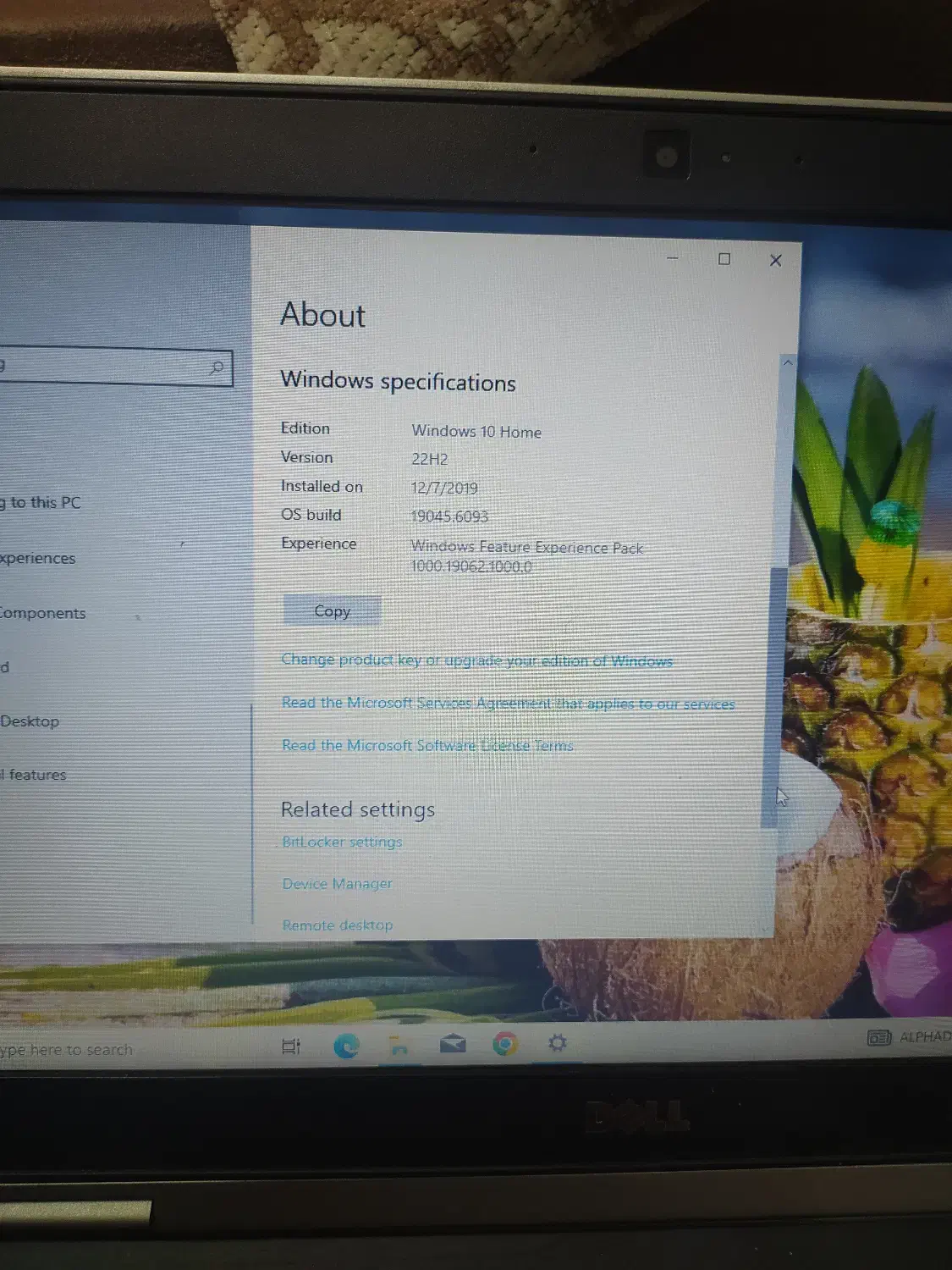لپ تاپ|رایانه همراه|گنبد کاووس, |دیوار