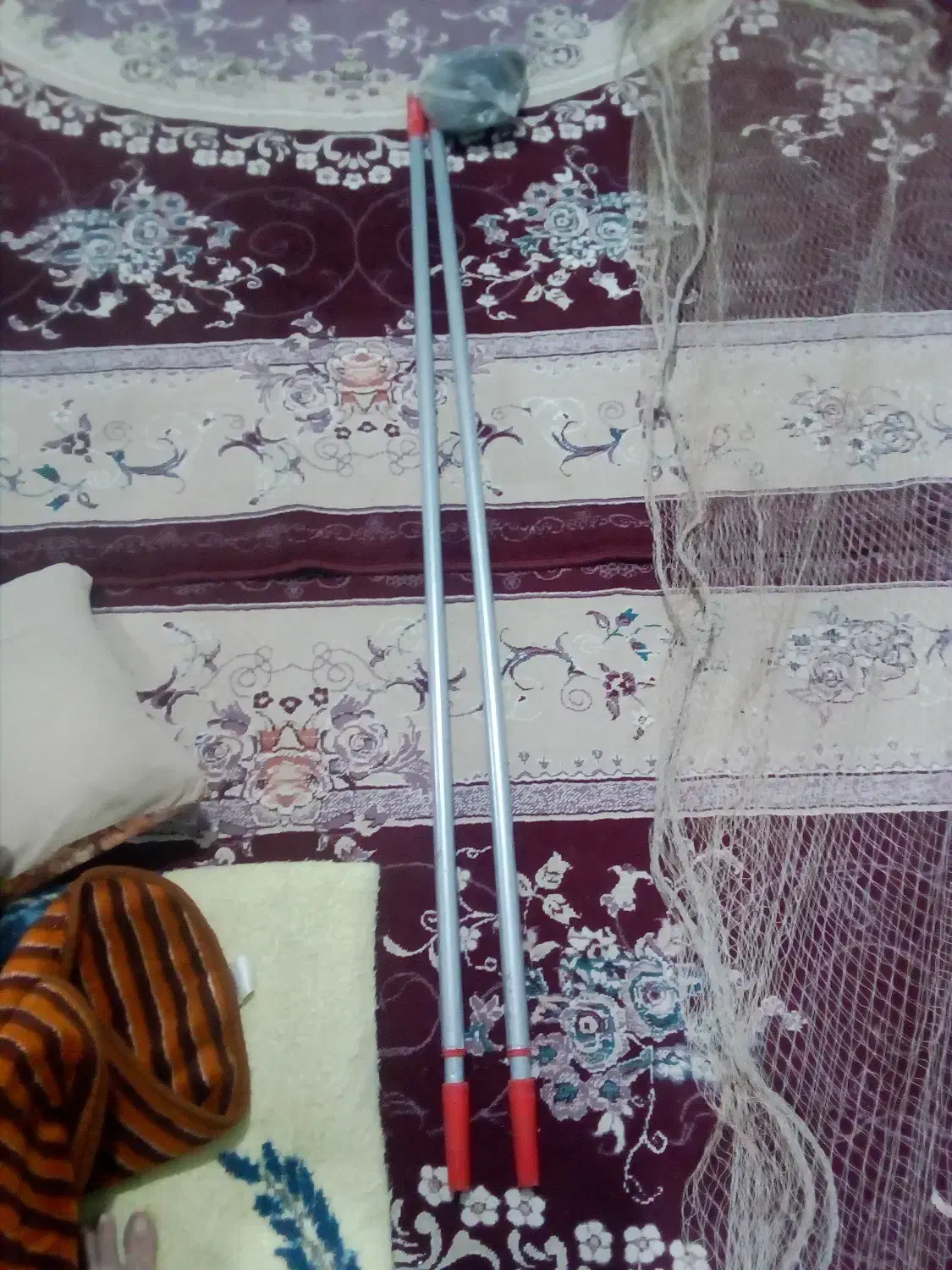 تورسهره|لوازم جانبی حیوانات|کوهدشت, |دیوار