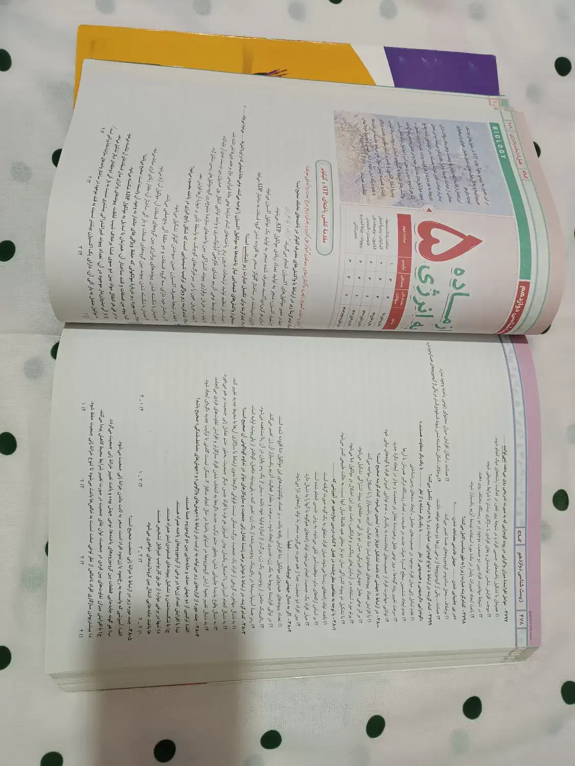 کتاب جامع زیست شناسیiQ(جلد اول)|کتاب و مجله آموزشی|شاندیز, |دیوار