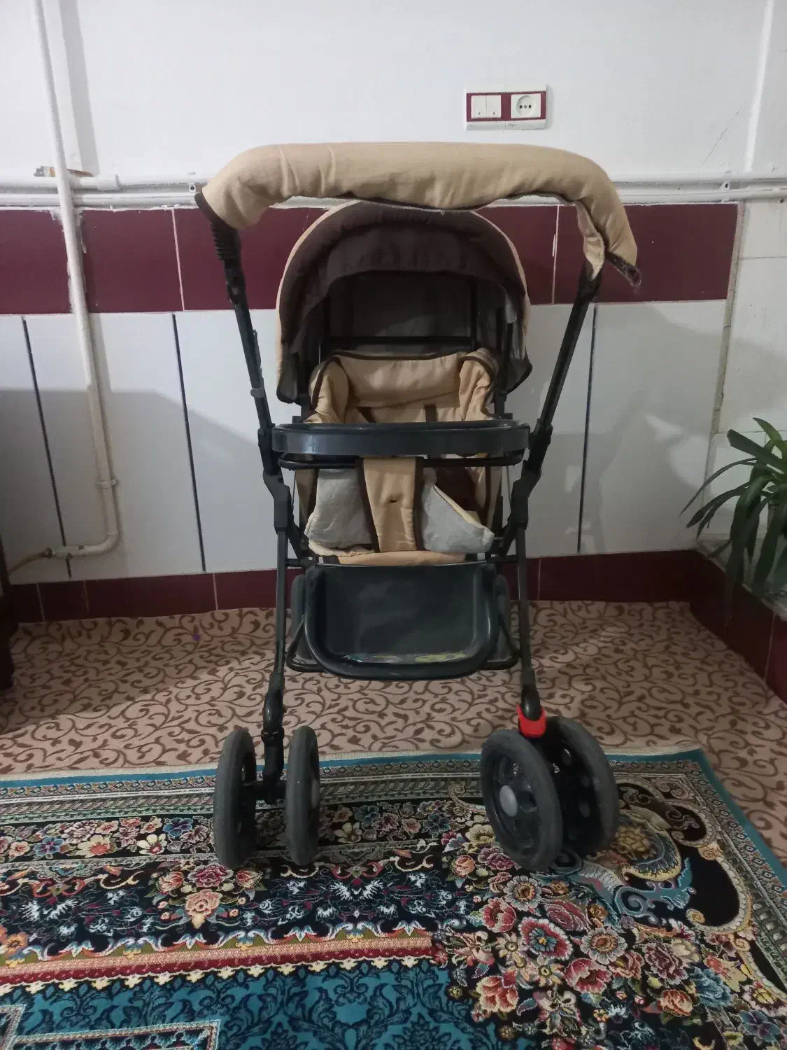 کالسکه|کالسکه و لوازم جانبی|کنگاور, |دیوار