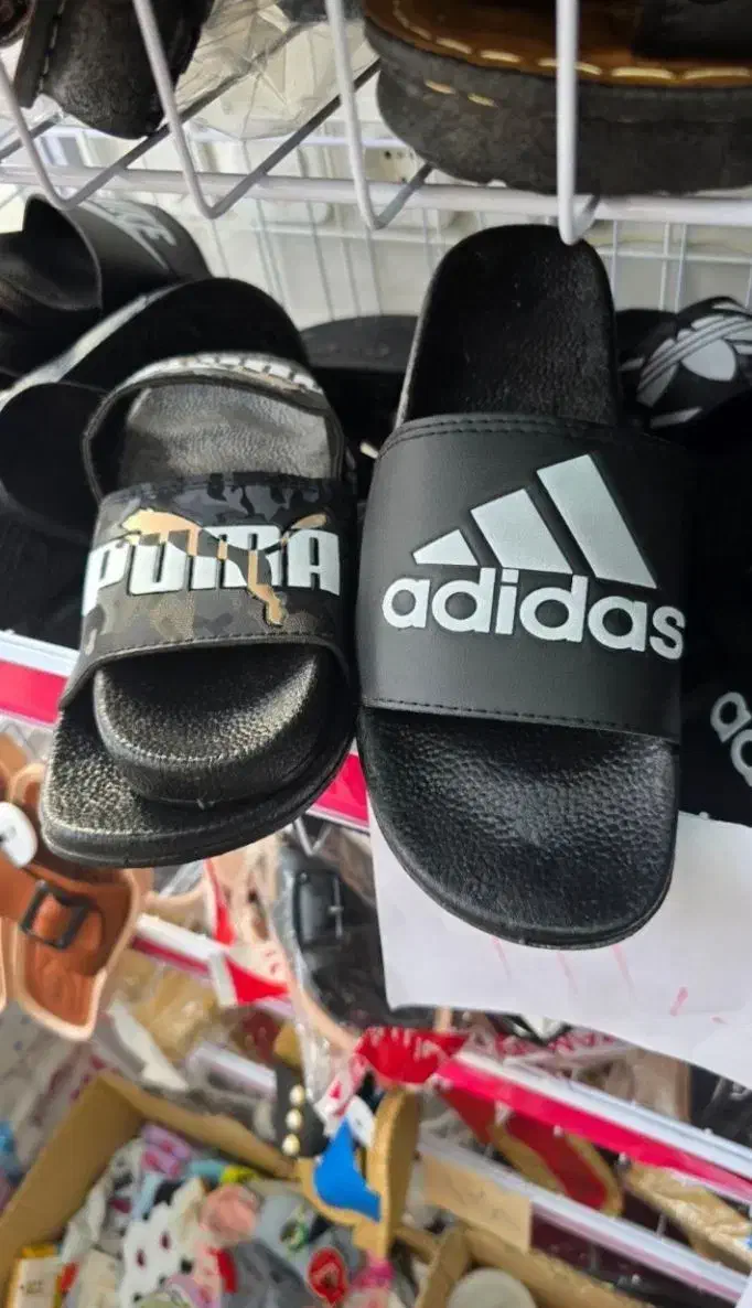 انواع دمپایی|کیف، کفش، کمربند|بوشهر, |دیوار