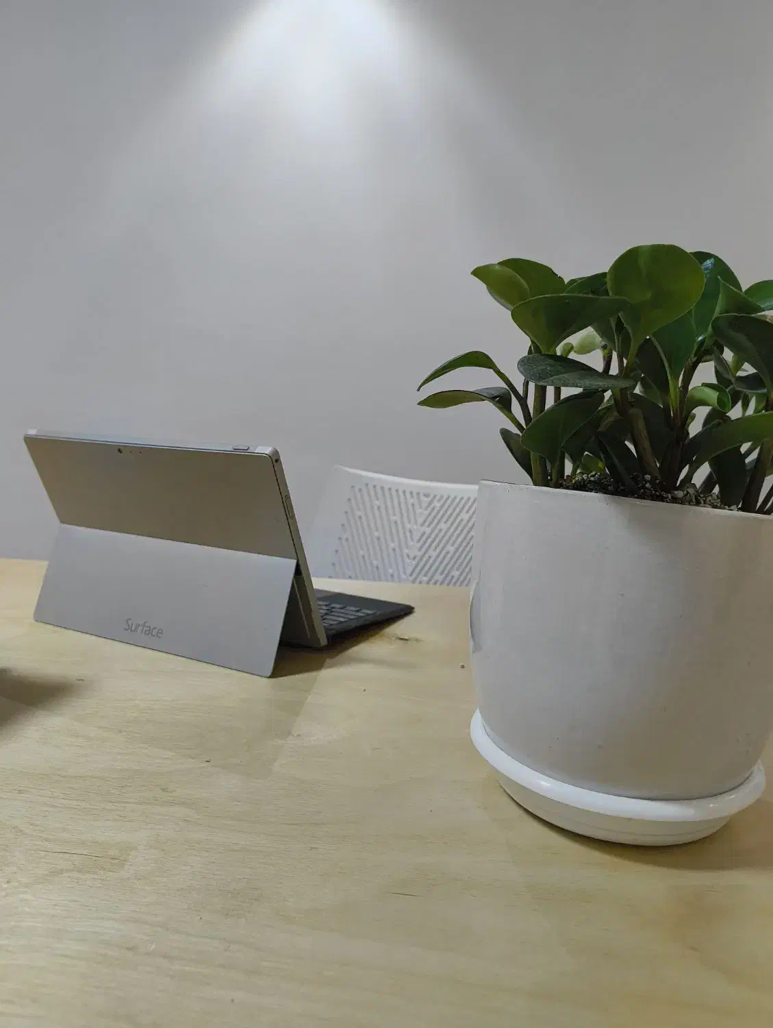 کارآموز طراحی سایت (با آموزش کامل و همکاری )|استخدام رایانه و فناوری اطلاعات|تهران, شیخ هادی|دیوار