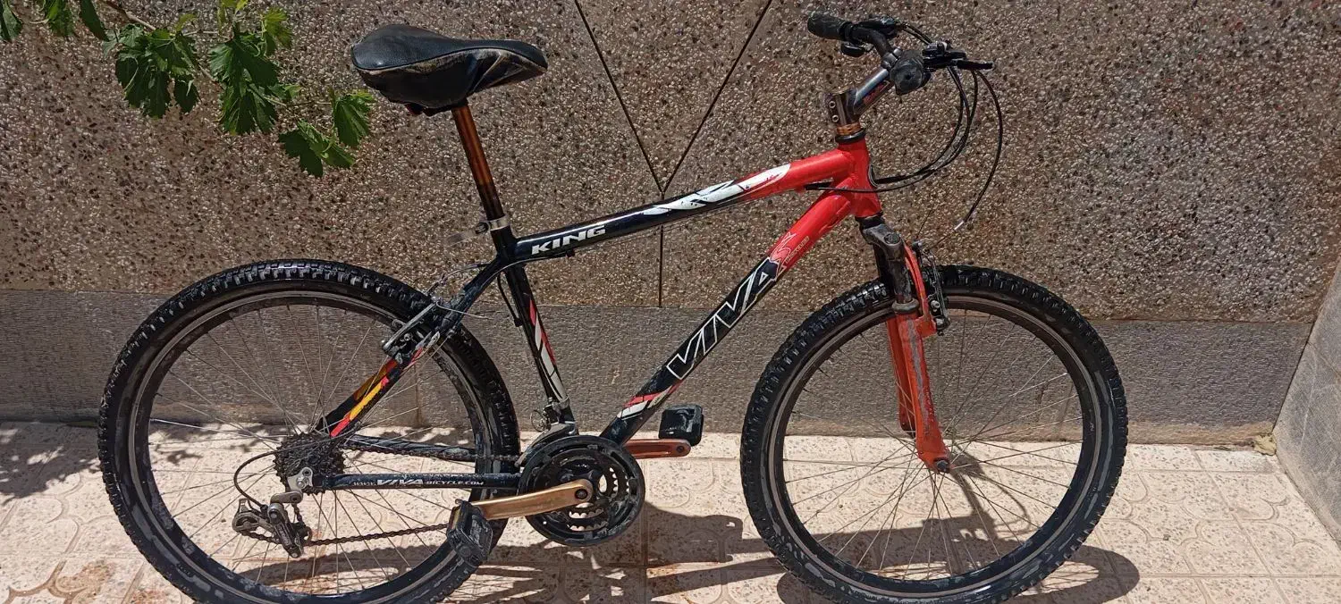 دوچرخه ویوا اصل تایوان|دوچرخه، اسکیت، اسکوتر|داران, |دیوار