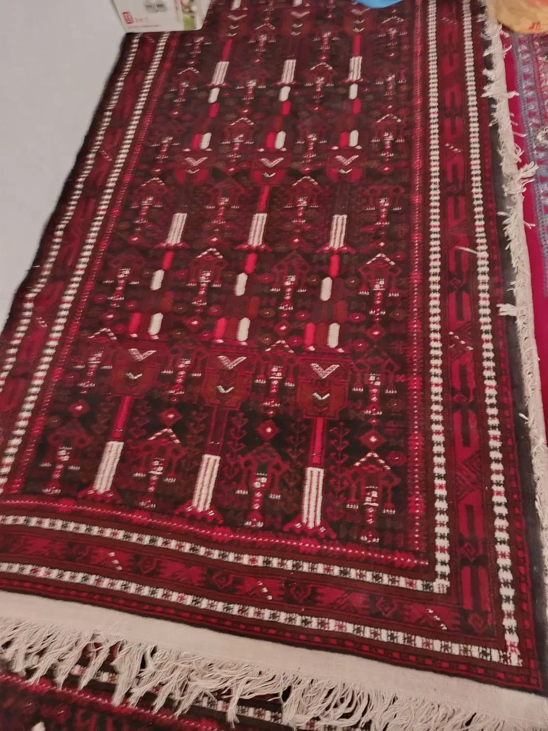 قالیچه دستی|فرش|زابل, |دیوار