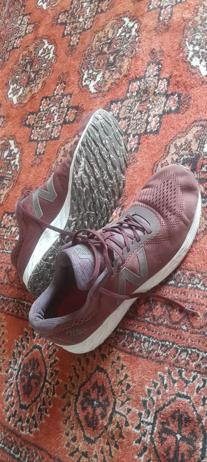 کفش طبیعت گردی|کیف، کفش، کمربند|گنبد کاووس, |دیوار