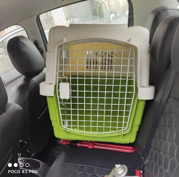 باکس سگ|لوازم جانبی حیوانات|تهران, زنجان جنوبی|دیوار