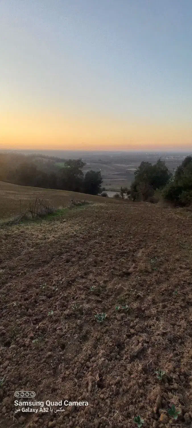 ۲ هکتار زمین دیم|فروش دفتر صنعتی، کشاورزی، تجاری|خان ببین, |دیوار