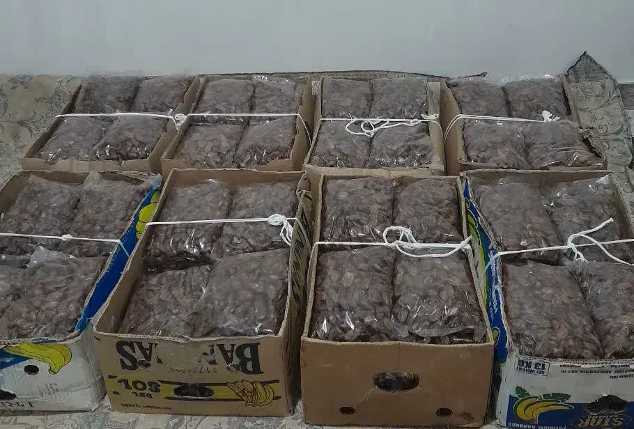 خرمای بدون هسته|خوردنی و آشامیدنی|قرچک, مهدیه|دیوار