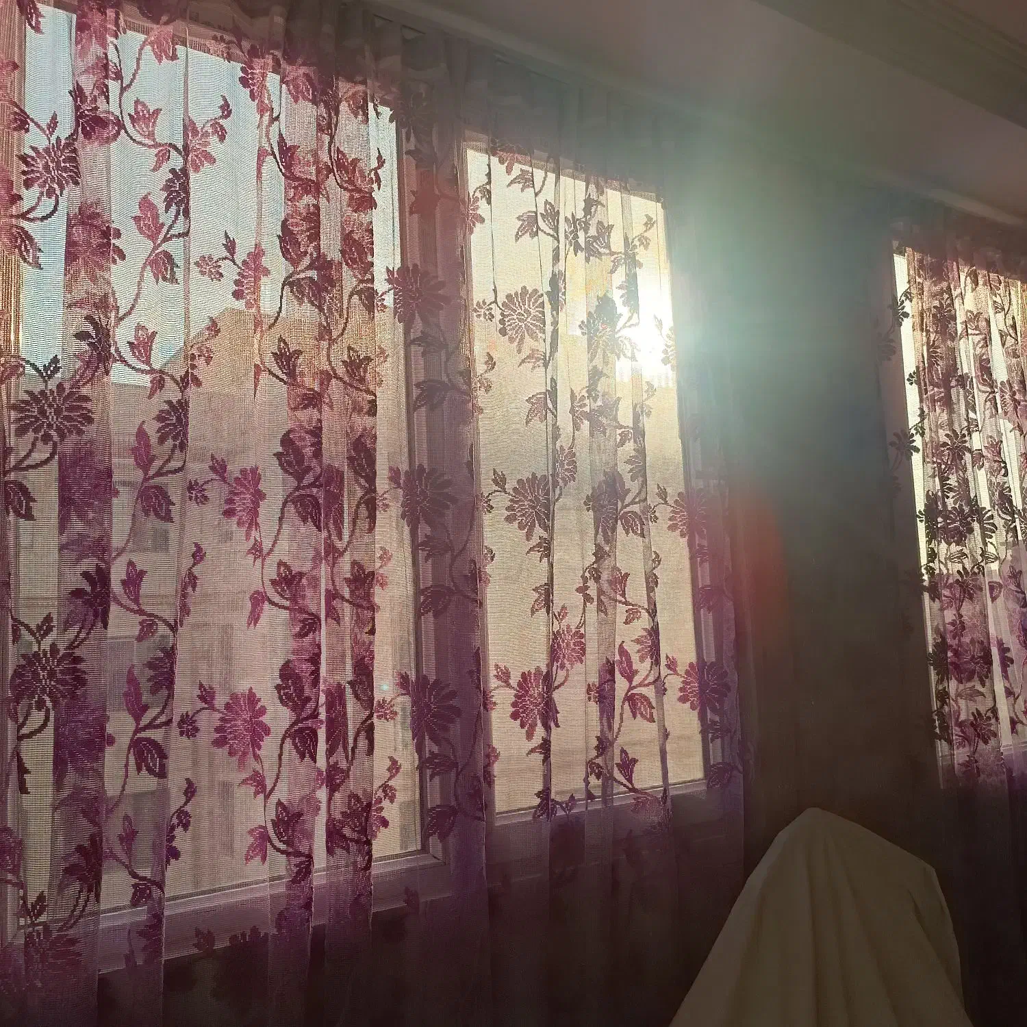 پرده پذیرایی|پرده، رانر، رومیزی|پیشوا, |دیوار