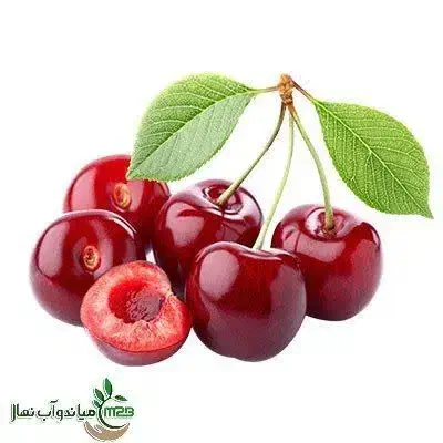 تولید و عرضه نهال آلبالو بوترمو|خدمات باغبانی و درختکاری|بدره, |دیوار