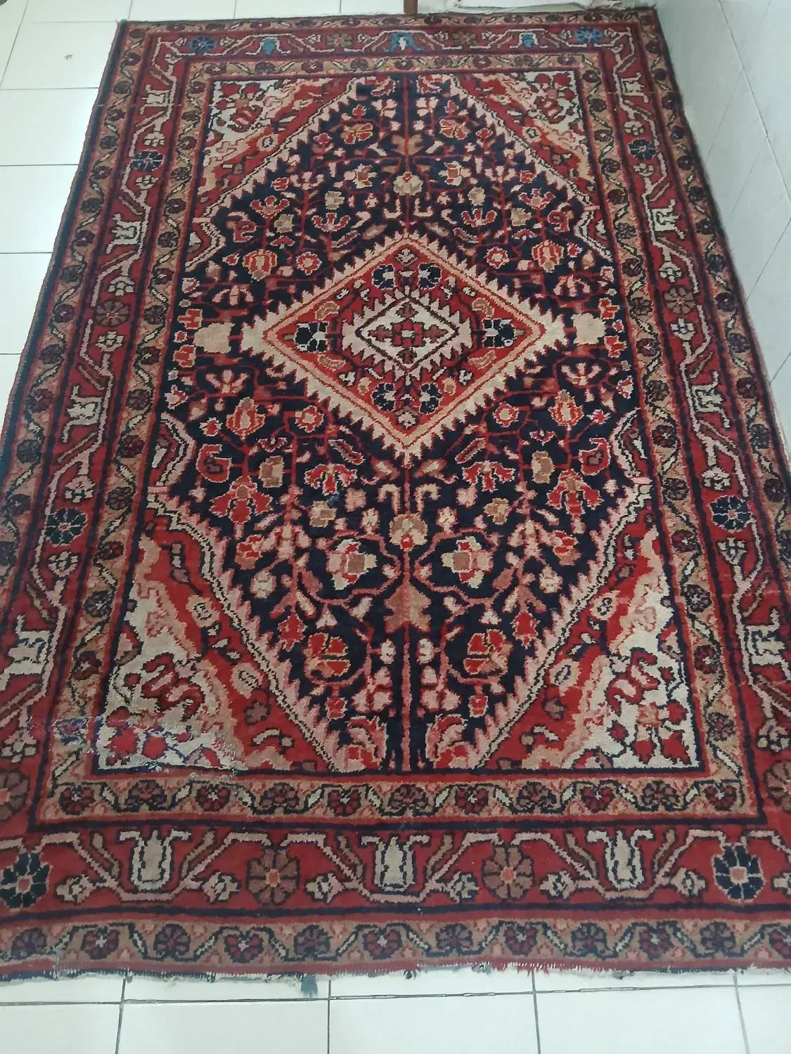 قالی دستباف قدیمی|فرش|تهران, باغ فیض|دیوار