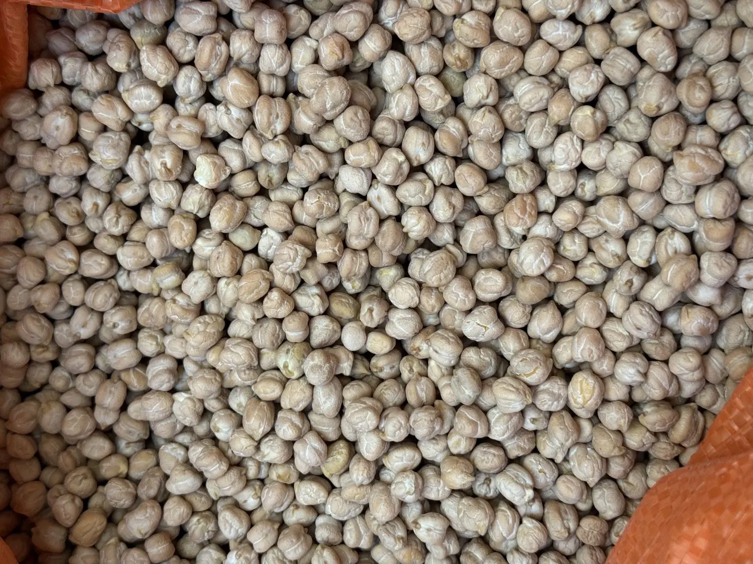 پخش حبوبات ایرانی،دستچین و درجه یک زیر قیمت مولوی|خوردنی و آشامیدنی|تهران, بهمن یار|دیوار