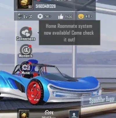 مامله با ک و ش ی|موبایل|زاهدان, |دیوار