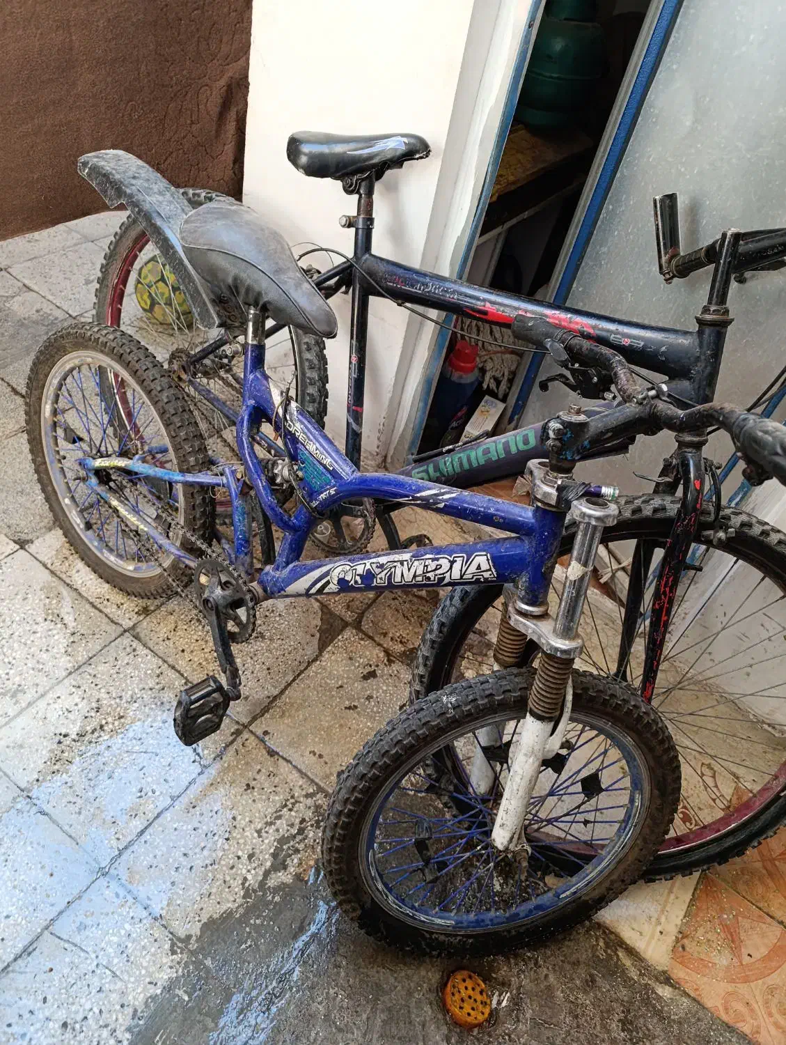 دوچرخه 20|دوچرخه، اسکیت، اسکوتر|قم, ولیعصر|دیوار