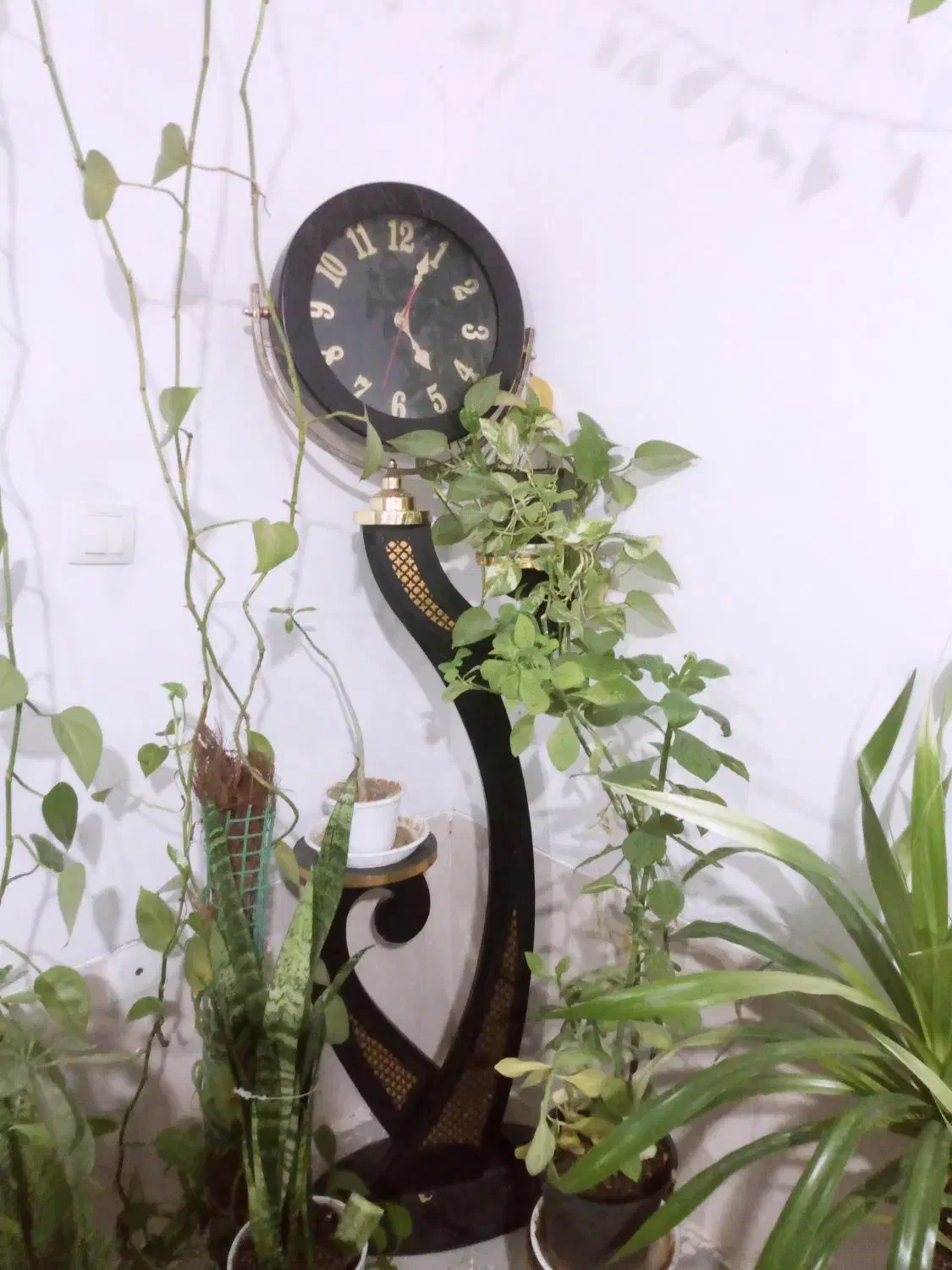 ساعت ایستاده|ساعت دیواری و تزئینی|فسا, |دیوار