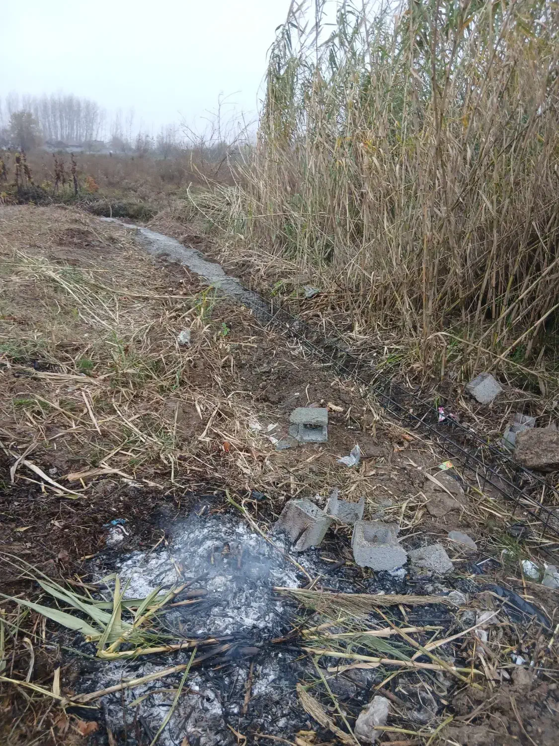 بنایی|خدمات پیشه و مهارت|رشت, گلسار|دیوار