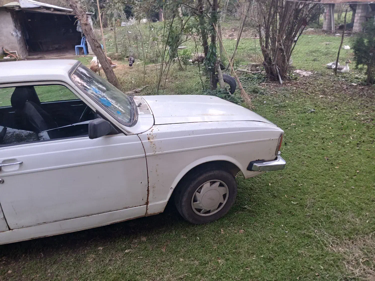 پیکان مدل ۷۹|خودرو سواری و وانت|سیاهکل, |دیوار