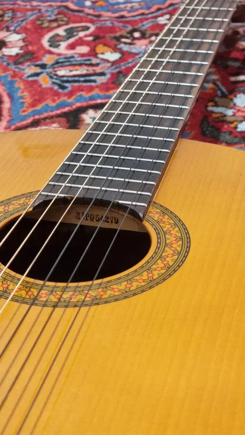 c40 گیتار|گیتار، بیس، امپلیفایر|بیرجند, |دیوار