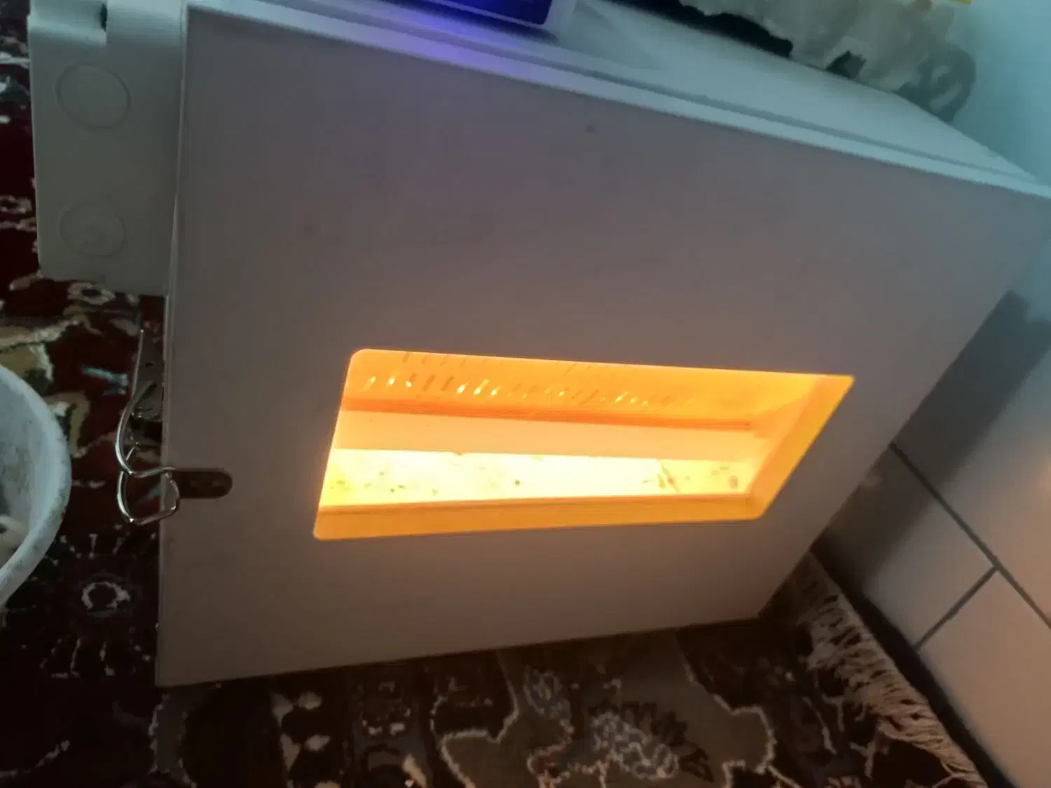 دستگاه جوجه کشی|لوازم جانبی حیوانات|رفسنجان, |دیوار