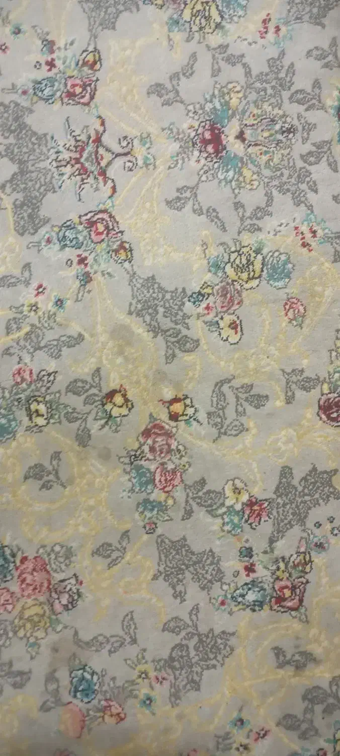 فرش ۶متری همراه پادری|پادری|اسلام‌شهر, مطهری|دیوار