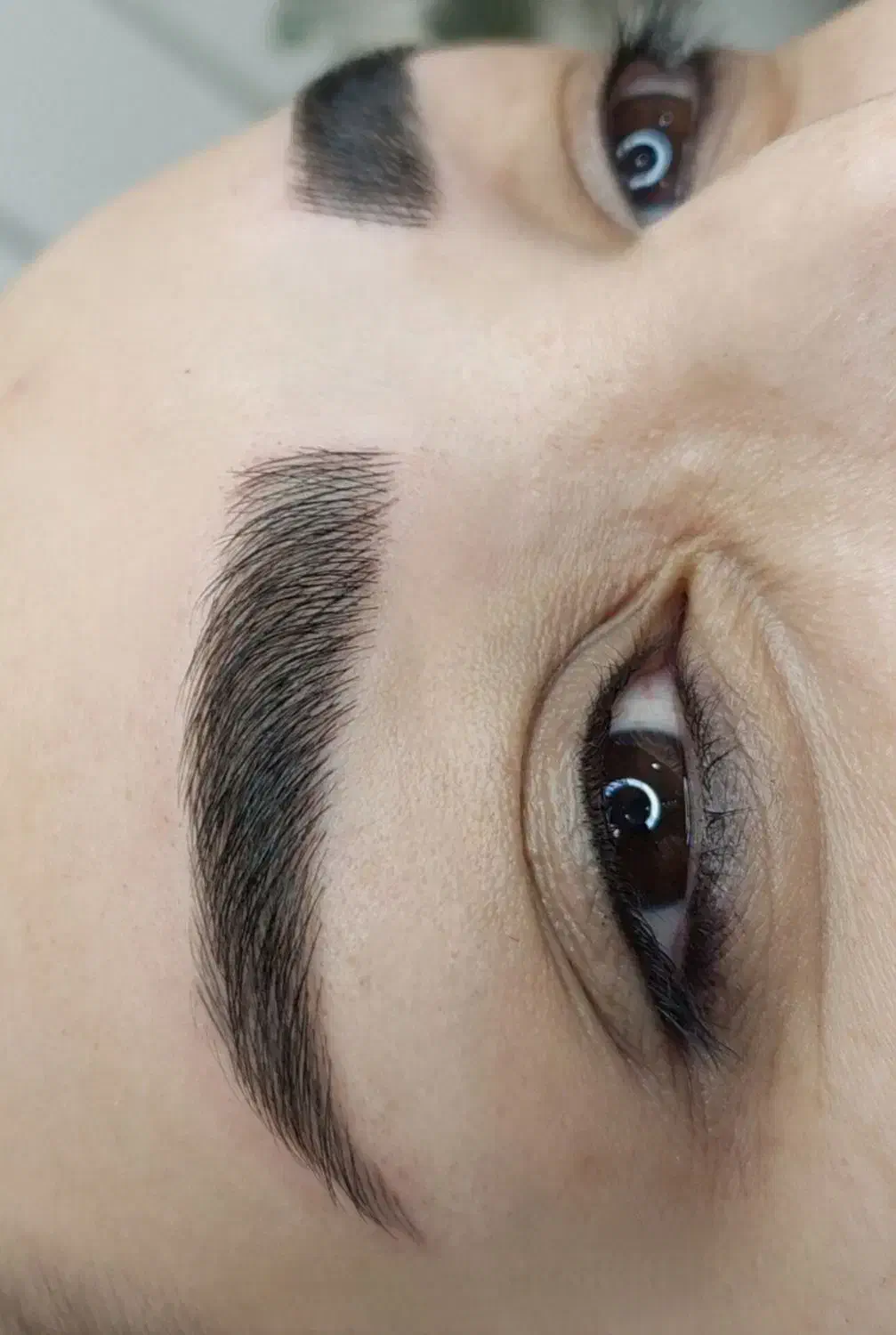 خدمات آرایش دائم با تخفیفات بلک فرایدی|خدمات آرایشگری و زیبایی|تربت جام, معدآباد|دیوار