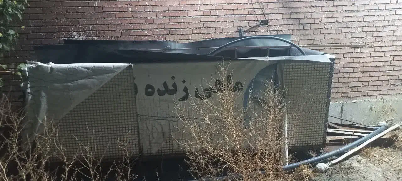 فروش استخر ماهی|ماهی|نقده, |دیوار